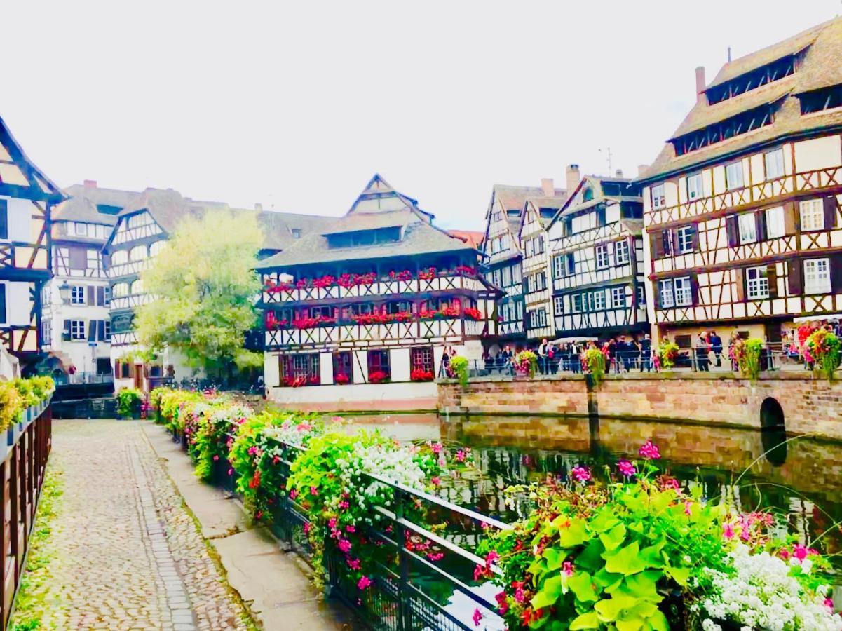 Cosy & Quiet Flat In Historical Lively Center Of Strasbourg公寓 外观 照片